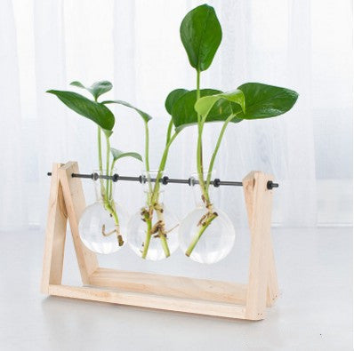 Claridad Orgánica: Estación de Propagación en Madera y Cristal