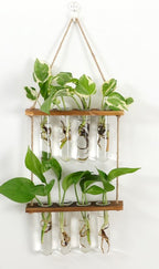 Laboratorio Etéreo: Terrario Colgante y Estación de Propagación Vertical