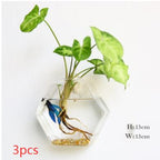 Aura de Cristal: Mini-Acuario y Terrario Mural de Alta Transparencia