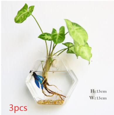 Aura de Cristal: Mini-Acuario y Terrario Mural de Alta Transparencia