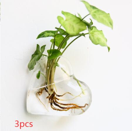 Aura de Cristal: Mini-Acuario y Terrario Mural de Alta Transparencia