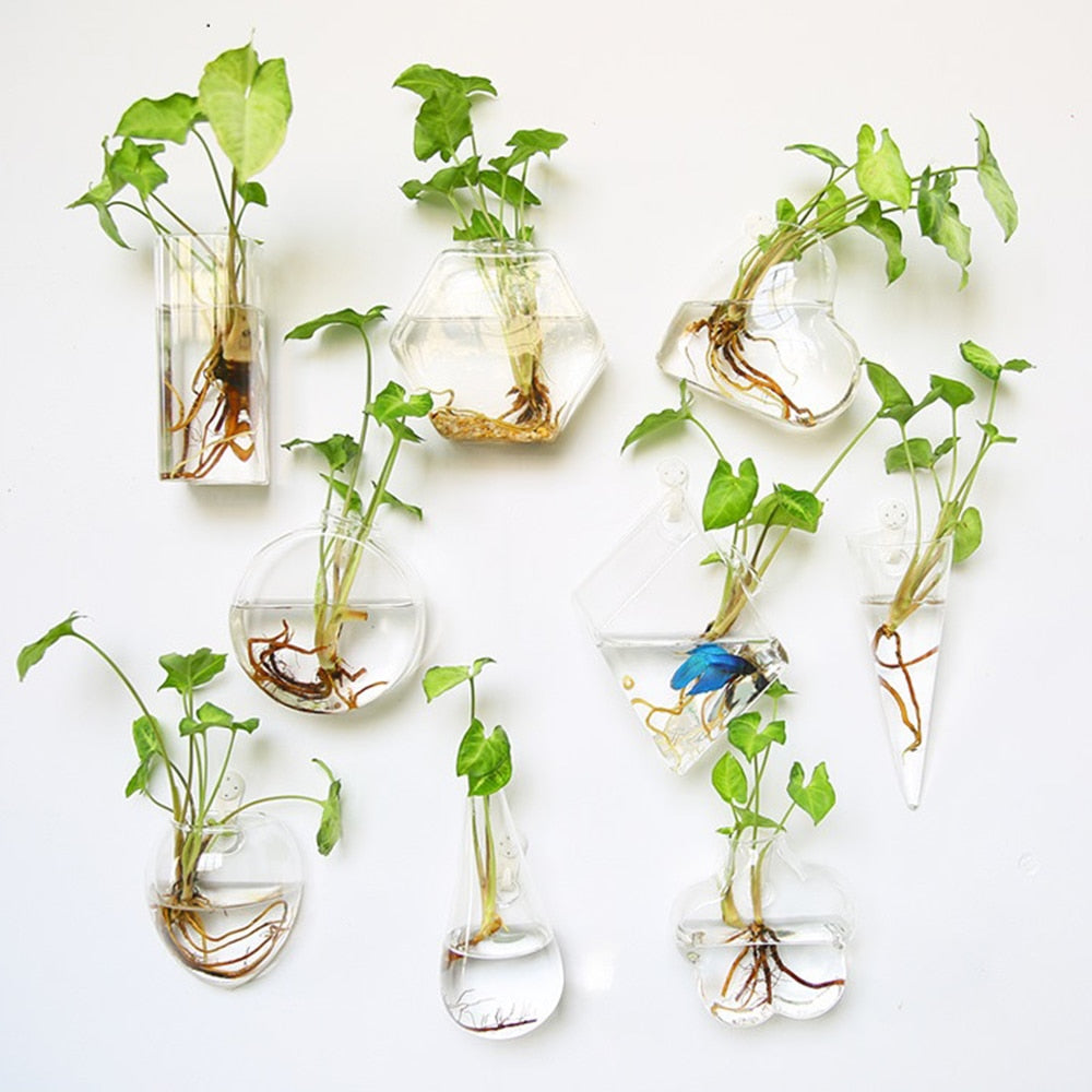 Aura de Cristal: Mini-Acuario y Terrario Mural de Alta Transparencia
