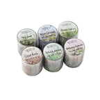 Sendero Botánico: Cinta Washi de Colección "Bosque Eterno"