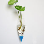 Aura de Cristal: Mini-Acuario y Terrario Mural de Alta Transparencia