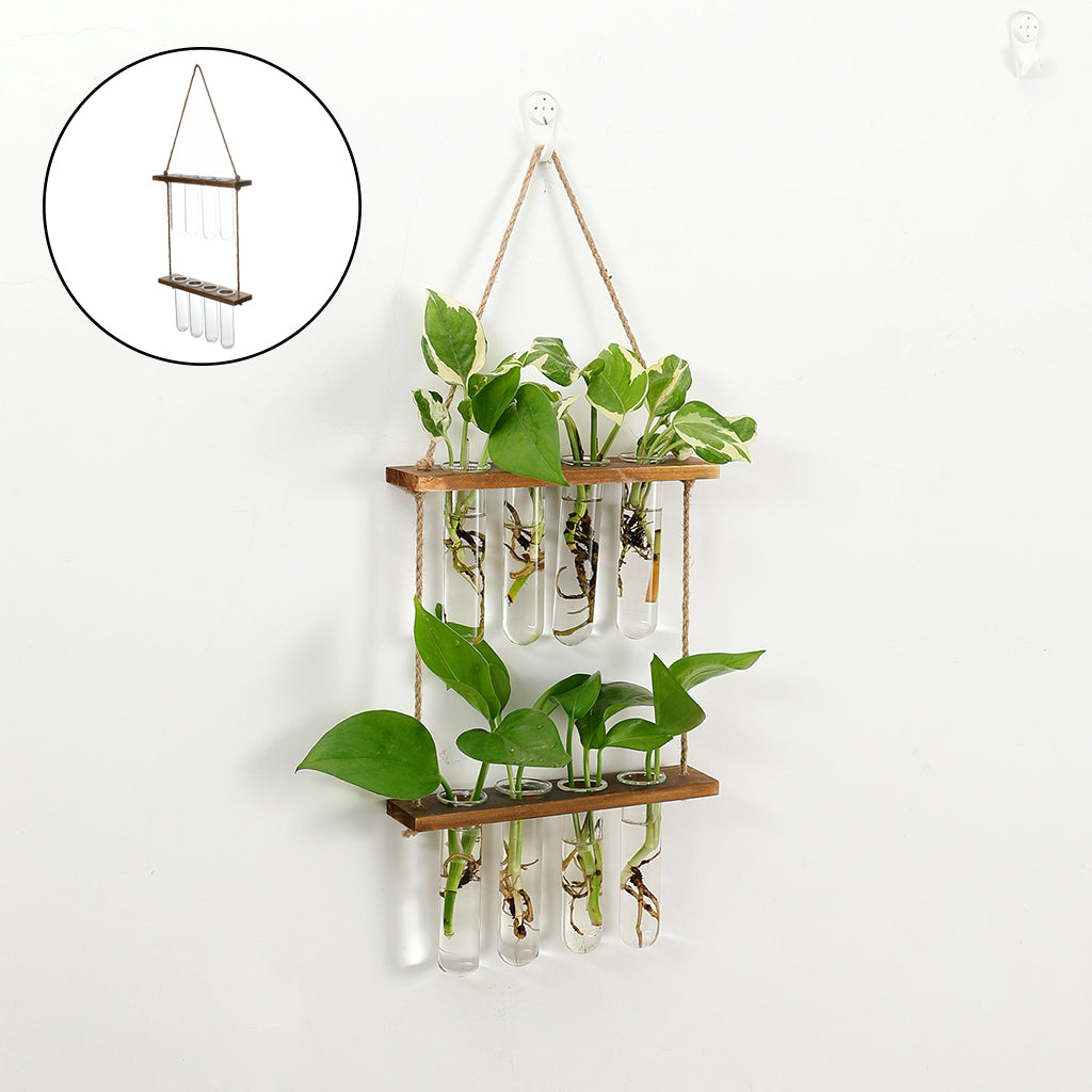 Laboratorio Etéreo: Terrario Colgante y Estación de Propagación Vertical