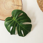 Abrazo Botánico: Sujetador de Cortina Monstera Deliciosa