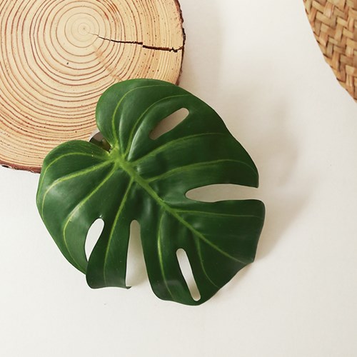 Abrazo Botánico: Sujetador de Cortina Monstera Deliciosa