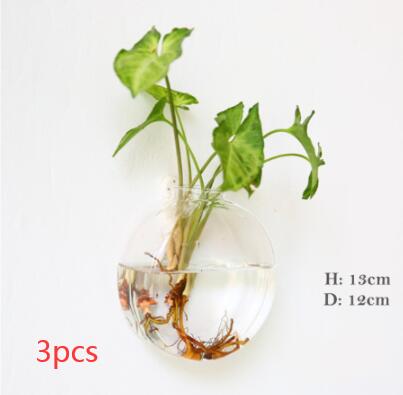 Aura de Cristal: Mini-Acuario y Terrario Mural de Alta Transparencia