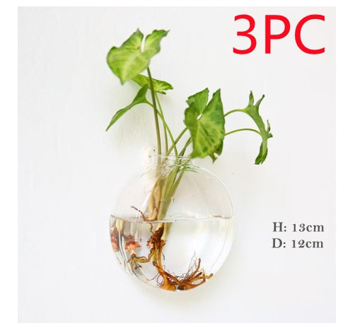 Aura de Cristal: Mini-Acuario y Terrario Mural de Alta Transparencia