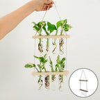 Laboratorio Etéreo: Terrario Colgante y Estación de Propagación Vertical