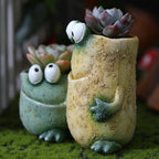 Gente de Charca: Ranas con Personalidad