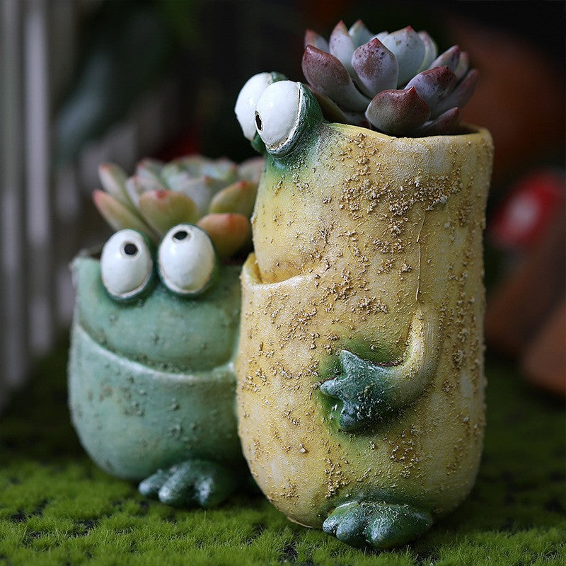 Gente de Charca: Ranas con Personalidad