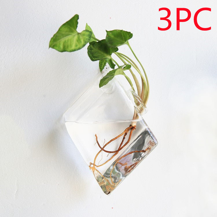 Aura de Cristal: Mini-Acuario y Terrario Mural de Alta Transparencia