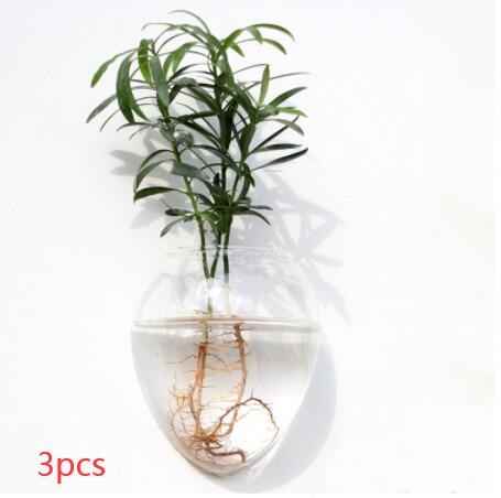 Aura de Cristal: Mini-Acuario y Terrario Mural de Alta Transparencia